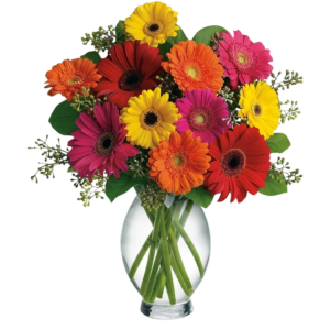 Denver Colorado Mixed Gerbera Arrangement