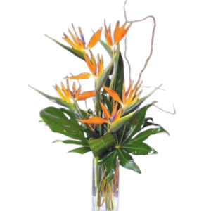 Tropical bird of paradise arrangement