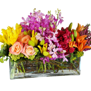 Summer Classio arrangement