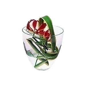 -Special Order- Gloriosa Bowl