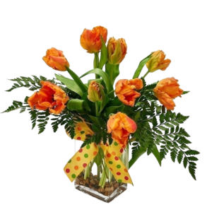Local Parrot Tulips Colors subject to availability