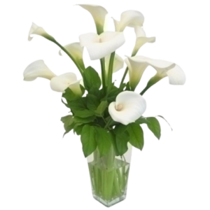 White Calla Lillie arrangement large.