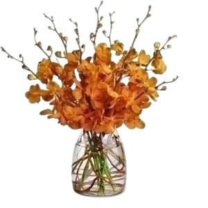 Orange Mokara arrangement