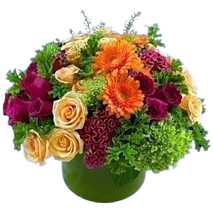 Garden arrangement