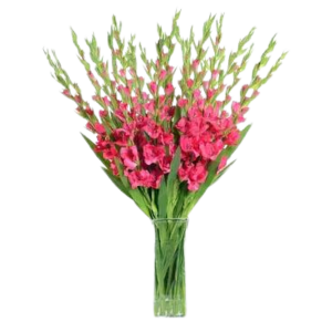 Gladiolus arrangement, Subject to availability, select colors during check out