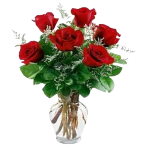 Half dozen Rose Arrangement