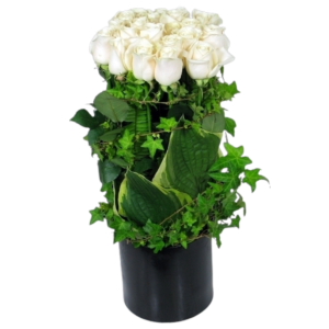 2 dozen Linear Rose arrangement ,Super Classy !
