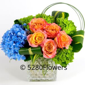 Summer Sunset Blues Flowers with Hydrangea