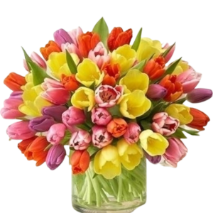 Large Pastel Mix Tulips stem LOCAL