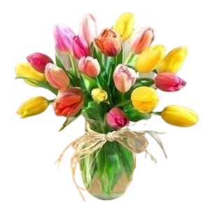 Medium Pastel Mix Tulips stem LOCAL