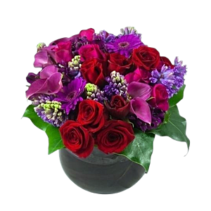 Roses in Spring