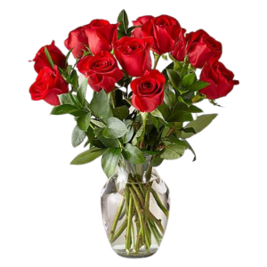 Denver Same Day Delivery Red Rose Arrangement