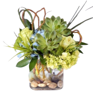 Denver Green flower arrangement with succulents and Hydrangea