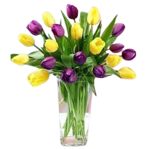 Spring Elegance Easter Tulips | Purple and Yellow Tulips in Glass Vase