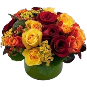 Fall Rose Bowl with Fair Trade Roses