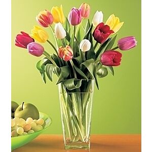 Assorted Tulip arrangement