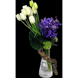 French Tulips and Orchids