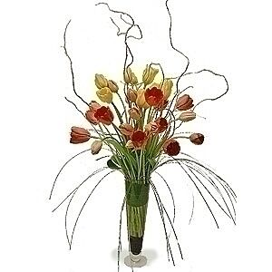 French Tulips Classico