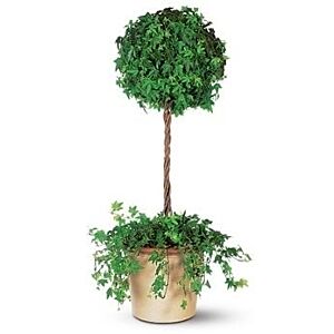 Ivy Topiary - Special Order Only-