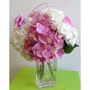 White and Pink Hydrangea arrangement * (PREORDER 1 Week)