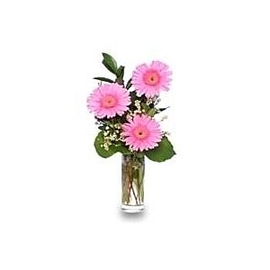 Gerbera Bud vase