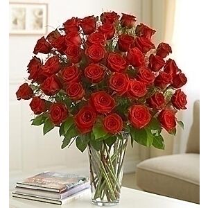 4 dozen long stem Rose arrangement all colors available