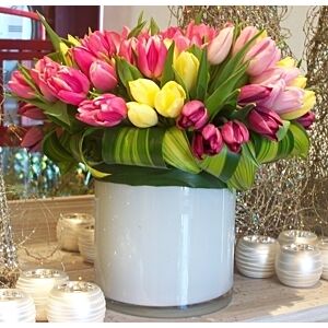 Tulip Monster