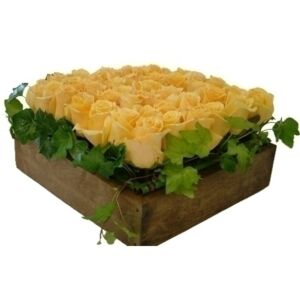 Boxed Rose arrangement available in different colors