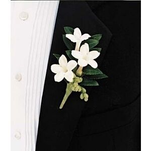 Stephanotis Boutonniere