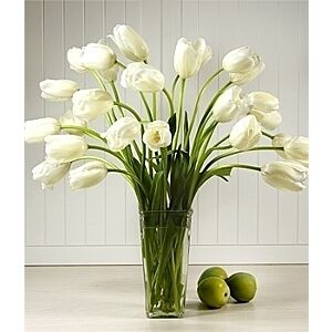 Just French Tulips SPRINGTIME SPECIAL REQUEST ONLY