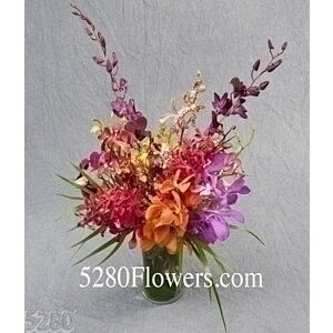 Jungle Orchid arrangement LONG LASTING
