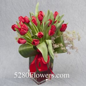 20 Valentine Red Tulips, In other colors as well