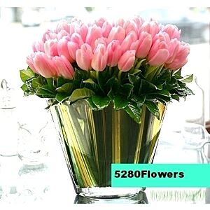 Tulip Pave