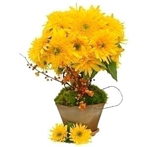 Sunflower topiary