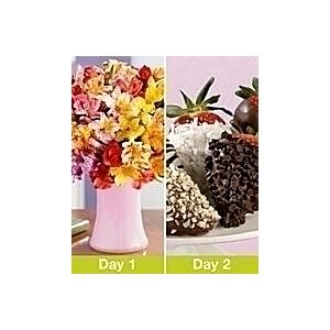 2 days of Gifts Strawberries and Flowers
