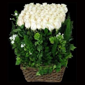 Sympathy Rose Hedge