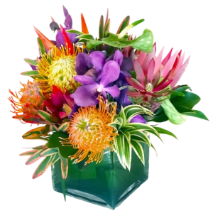 Hawaiian Tropical Market Cube 6"Cube