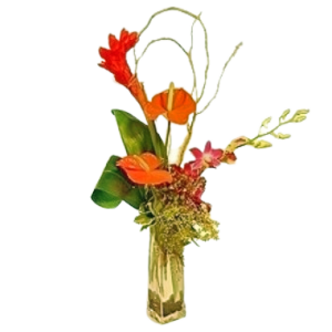 Large Tropical Budvase arrangement