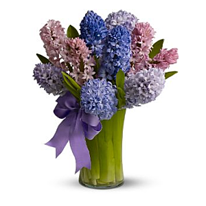 Hyacinth arrangement Spring Only!