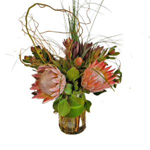 King Protea arrangement, Special Order, not available for Same day delivery