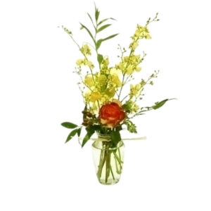 Little Ming arrangement