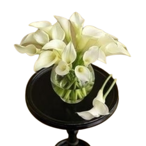 White Mini Calla lilies