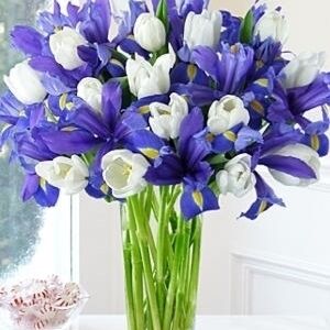 Blue and White arrangement