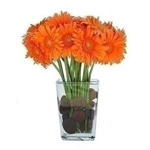 Mono Gerbera With River Rock