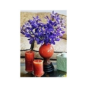 Purple Mokara arrangement