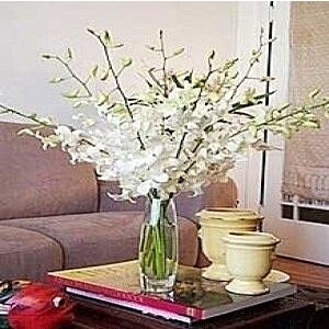 10 Stem Valentine White Orchid Arrangement