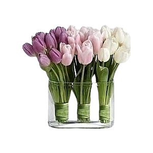 Denver Tulip Arrangement delivery