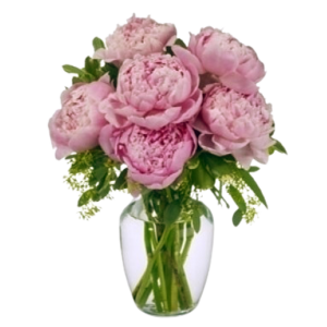 Peony arrangement May and June Only ! Starting May 9