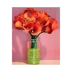 Petite Rust Mini Calla lilies