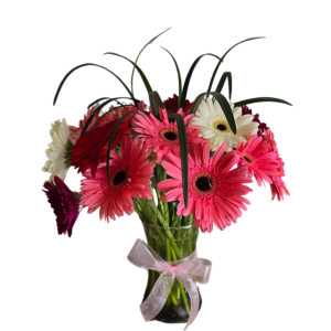 Pinky Gerbera Arrangement